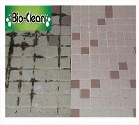 Bio-Clean Carpet Cleaning image 7